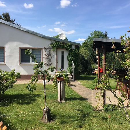 Ferienhaus An Der Selke Meisdorf Eksteriør billede