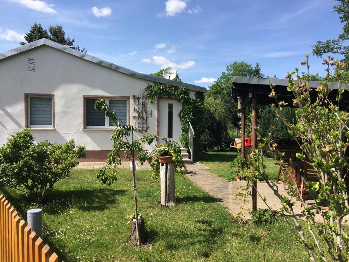 Ferienhaus An Der Selke Meisdorf Eksteriør billede